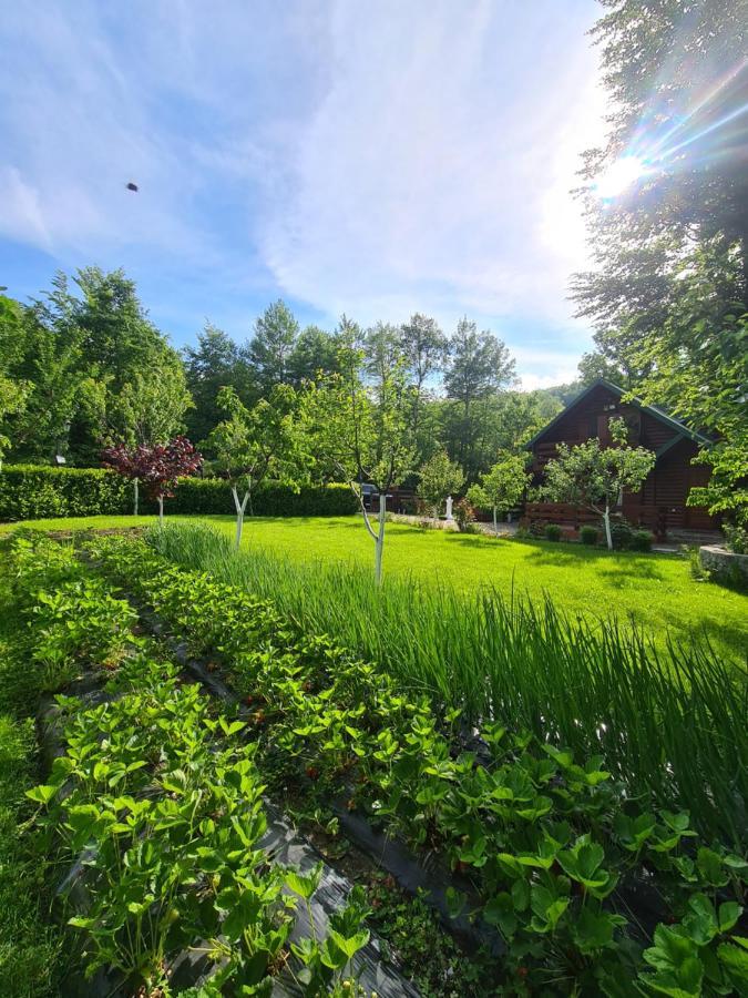 Villa Vikendica Crkvina Kolašin Exterior foto